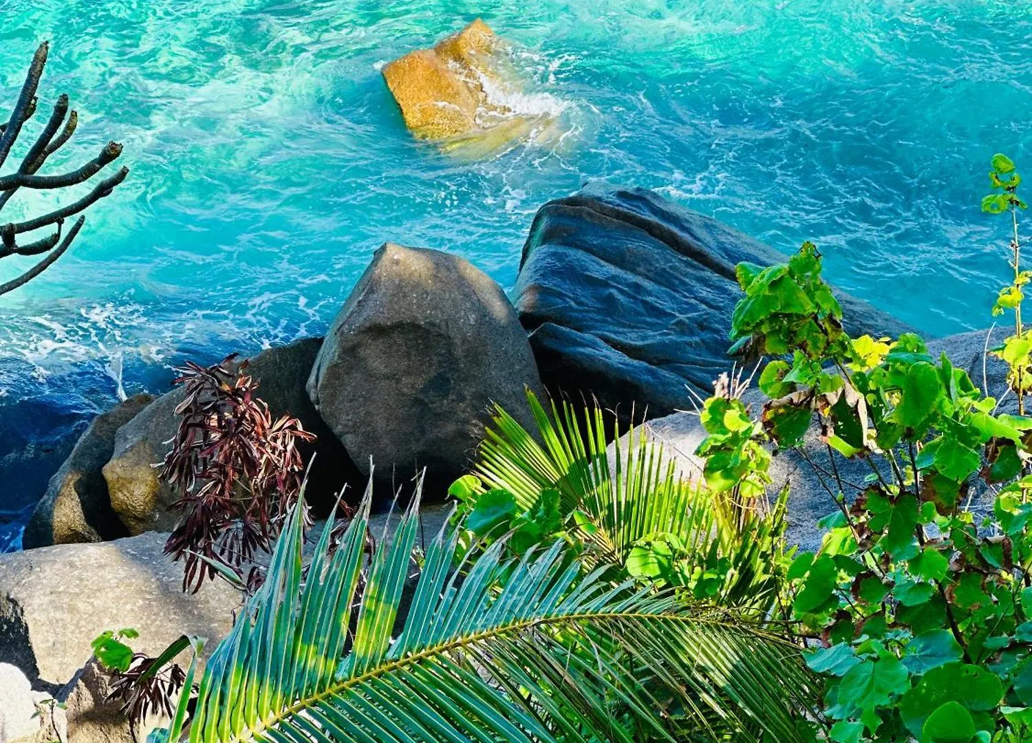 Villa Club Tropicana Carana With Private Infinity Pool Machabee